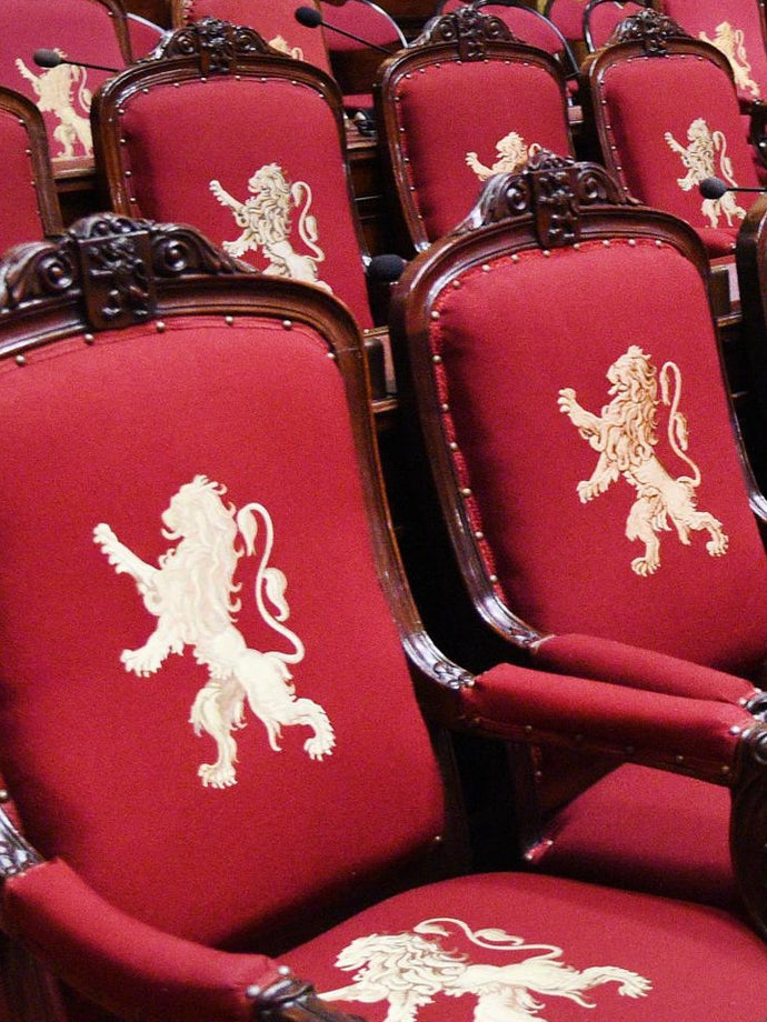 Tussen standpunten en standbeelden • woensdag 28 januari  2026