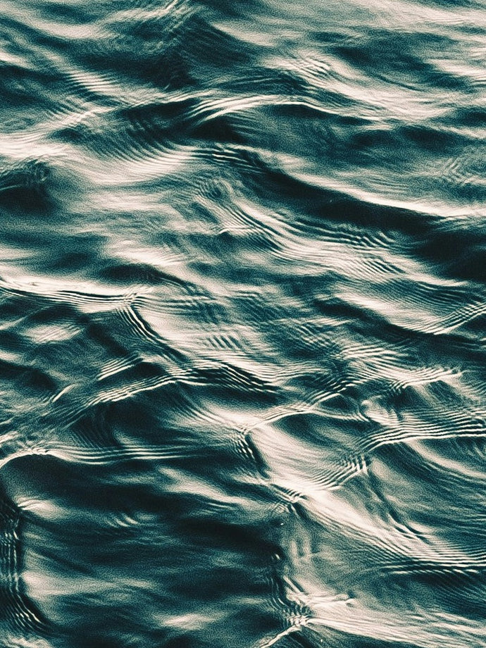 Stephan Vanfleteren. Transcripts of a Sea • zaterdag 22 november 2025